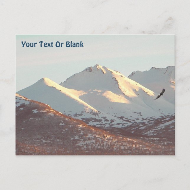 Winter Eagle Vykort (Framsida)