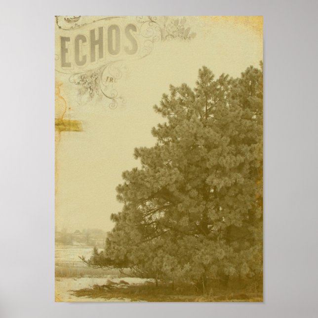 Winter Echos Poster (Framsidan)