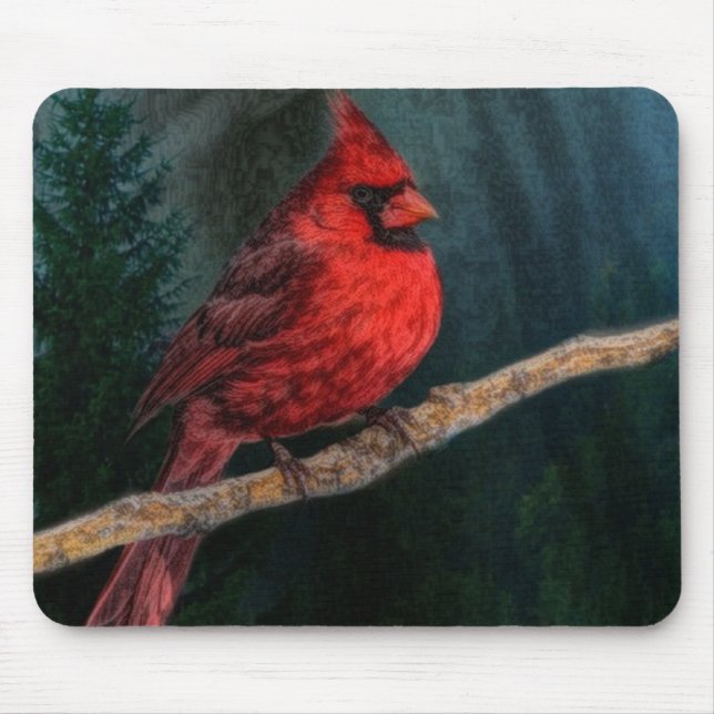 Winter Evergreen Primitive jul Red Cardinal Musmatta (Framsidan)