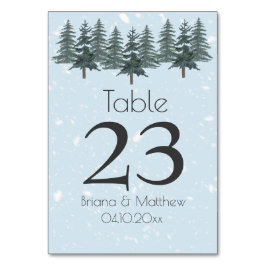 Winter Evergreen Winter Gräs Träd Bordsnummer
