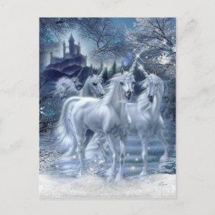 Winter Fantasy Vykort