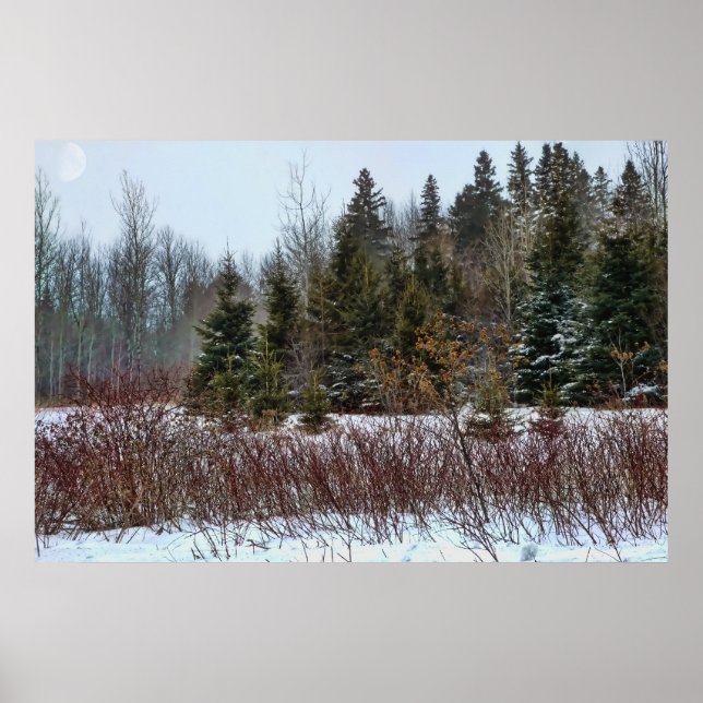 Winter Färg Poster (Framsidan)