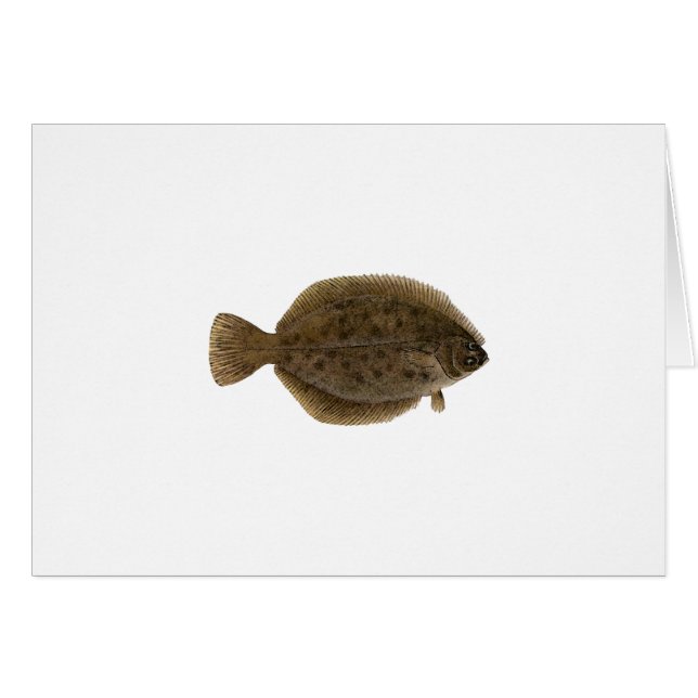 Winter Flounder - Blackback Hälsningskort (Framsidan Horizontal)