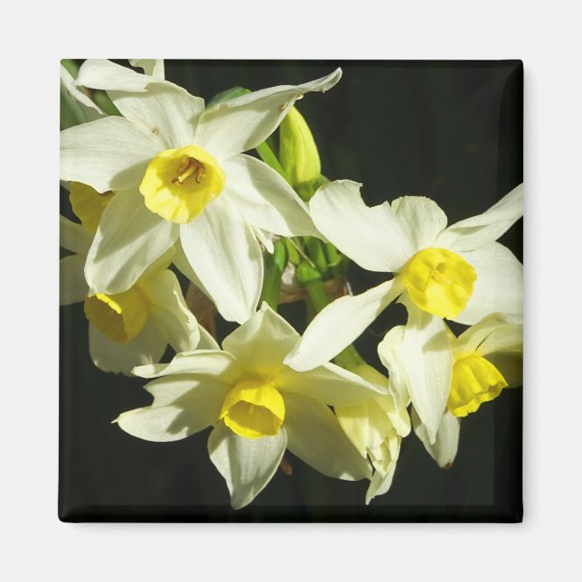 Winter Flowers Magnet (Framsidan)