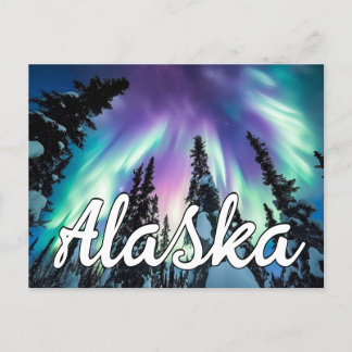 Winter Forest Alaska Typography Norra Ljus Vykort