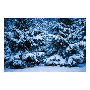 Winter Forest Julgran Fototryck