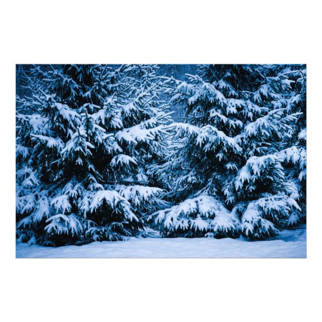 Winter Forest Julgran Fototryck (Framsidan)