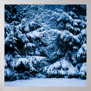 Winter Forest Julgran Poster