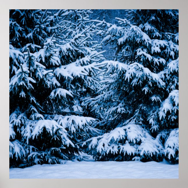 Winter Forest Julgran Poster (Framsidan)