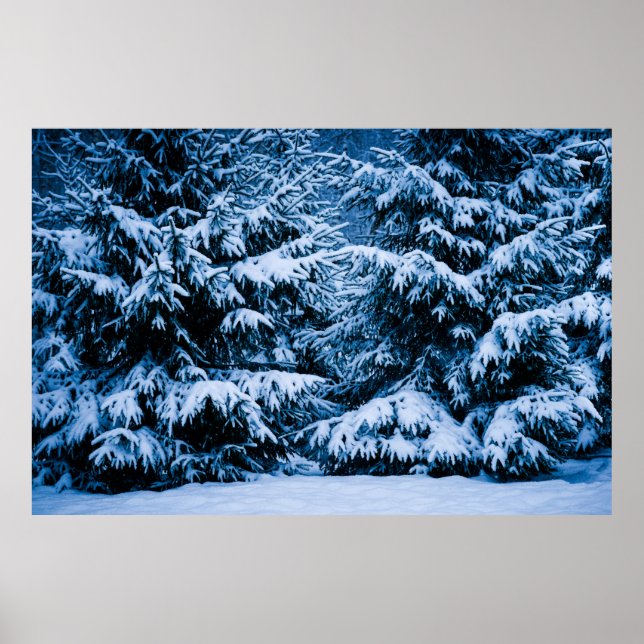 Winter Forest Julgran Poster (Framsidan)