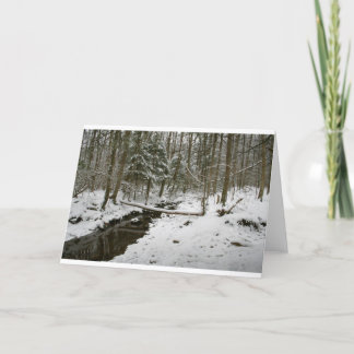 Winter Forest Kort