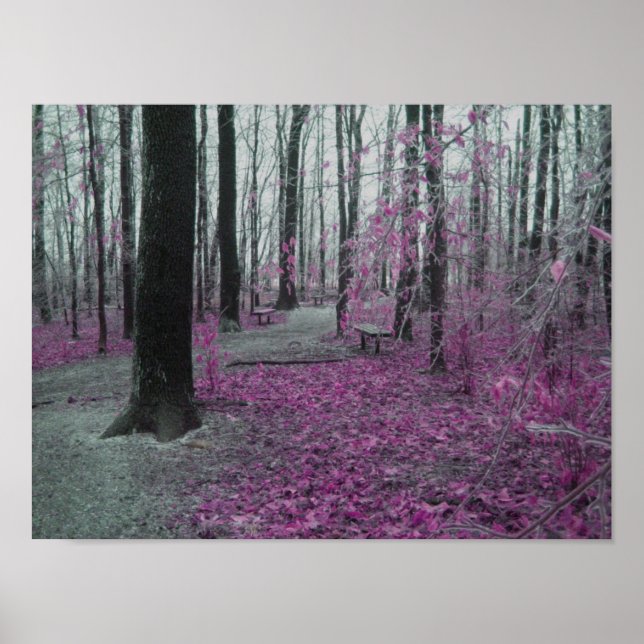 Winter Forest Poster (Framsidan)