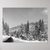 Winter Forest Road