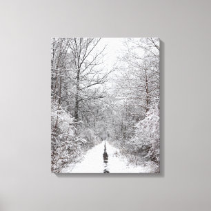 Winter Forest Snowy Trail Canvastryck