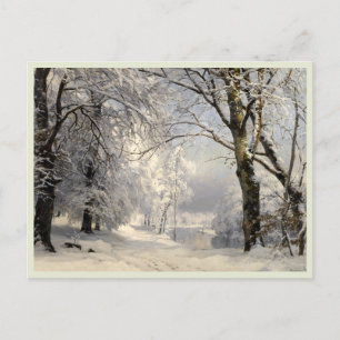 Winter Forest Vykort