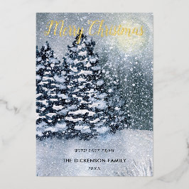 Winter ForestSnow Covered Gräs Träd