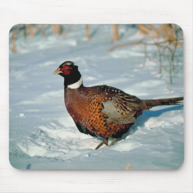 Winter Fowl Musmatta (Framsidan)