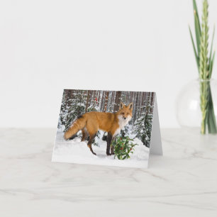 "Winter Fox"-anteckningskort Anteckningskort