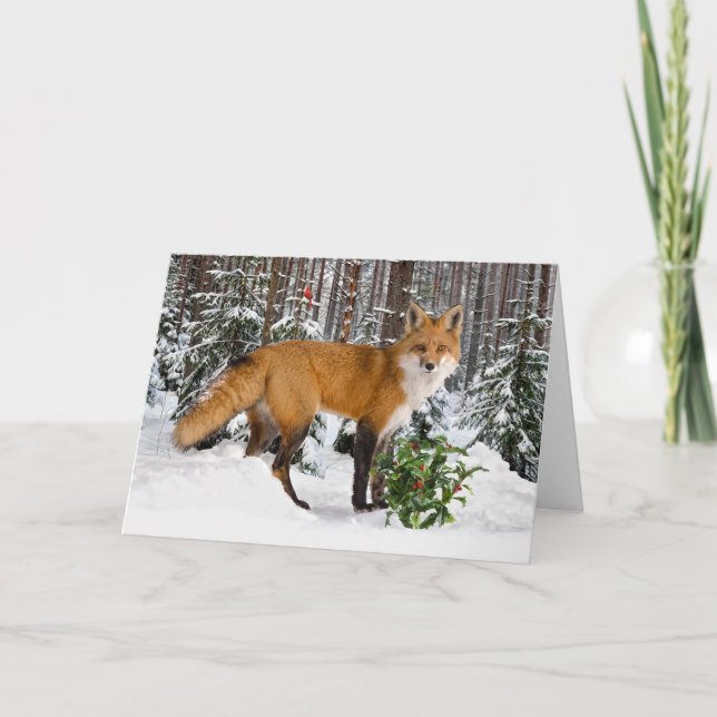 "Winter Fox"-hälsningskort Helgkort (Framsida)
