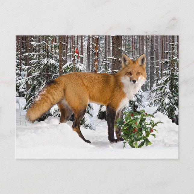 "Winter Fox"-vykort för Helgdag Vykort (Framsida)
