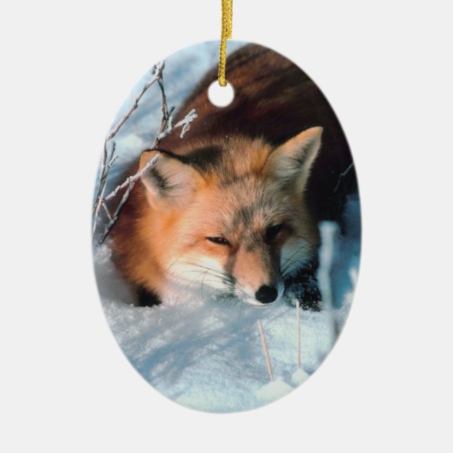 Winter Fox Wildlife Photo jul Ornament (Framsidan)