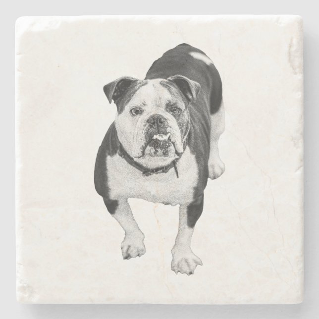 Winter Friend, Bulldog Coaster Stenunderlägg (Framsidan)