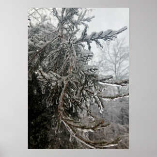 Winter Frost Poster