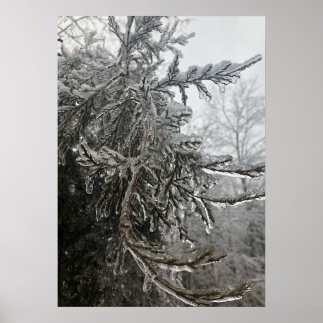 Winter Frost Poster (Framsidan)