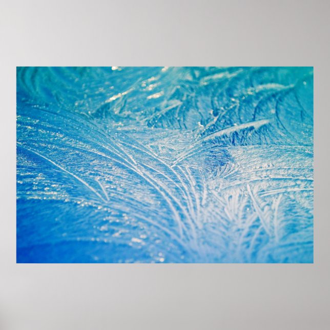 Winter Frost Poster (Framsidan)