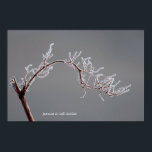 Winter Frosted branch Poster<br><div class="desc">Winter frosted branch</div>