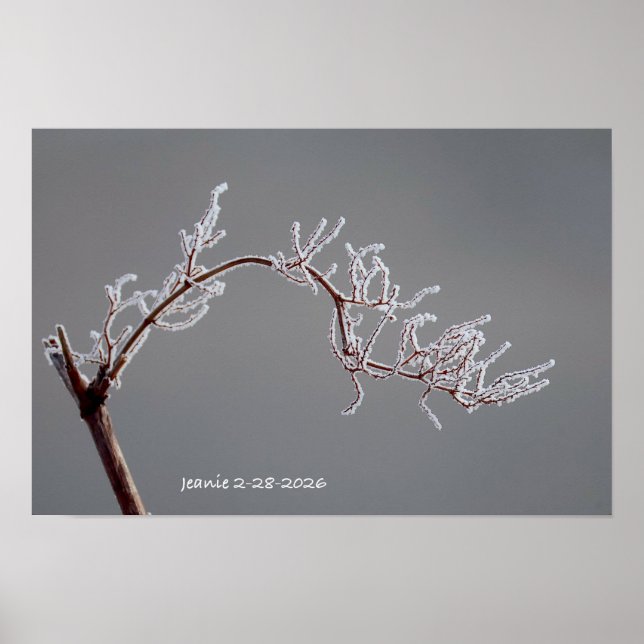 Winter Frosted branch Poster (Framsidan)