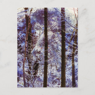 Winter Frosty Forest MorgSchweiz Vykort