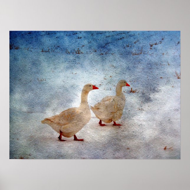 Winter Geese Poster (Framsidan)