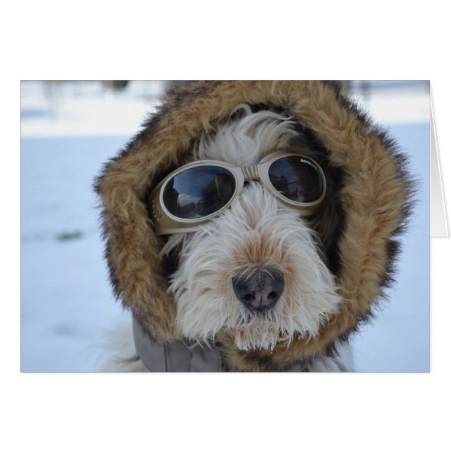 Winter Glamor Hälsningskort (Framsidan Horizontal)