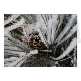 Winter Gräs Cone Hälsningskort