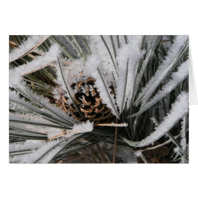 Winter Gräs Cone Hälsningskort (Framsidan Horizontal)