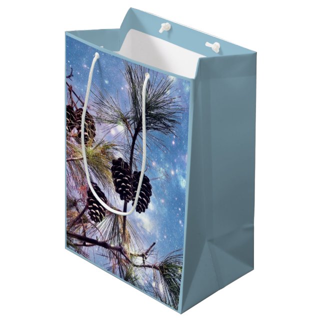 Winter Gräs Cones under stjärnnatten himlar (Framsidan Vinklad)