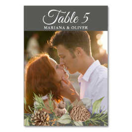 Winter Gräs Stone Grått Bröllop Bordsnummer