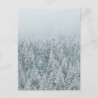 Winter Gräs Vykort