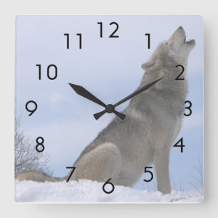 Winter Grått Varg Howling Fyrkantig Klocka