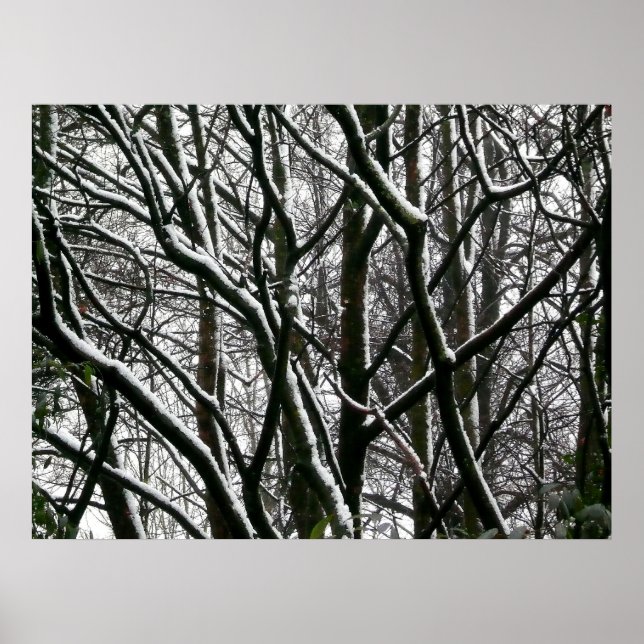Winter Grenar Poster (Framsidan)
