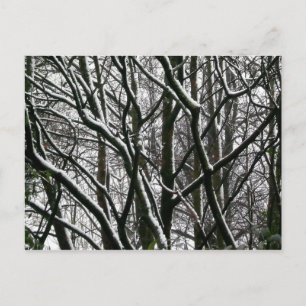 Winter Grenar Vykort