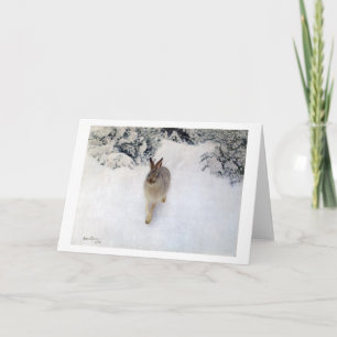 Winter Hare (kanin), Bruno Liljefors Kort