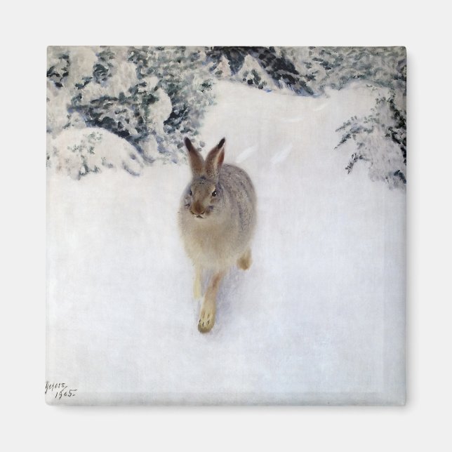 Winter Hare (kanin), Bruno Liljefors Magnet (Framsidan)