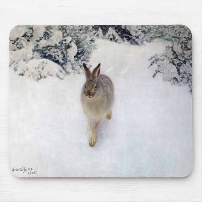 Winter Hare (kanin), Bruno Liljefors Musmatta (Framsidan)