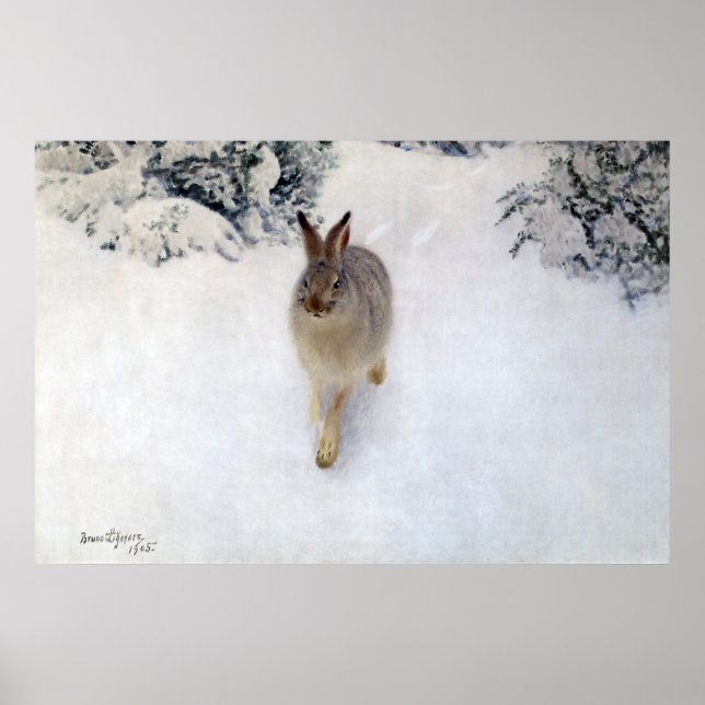 Winter Hare (kanin), Bruno Liljefors Poster (Framsidan)