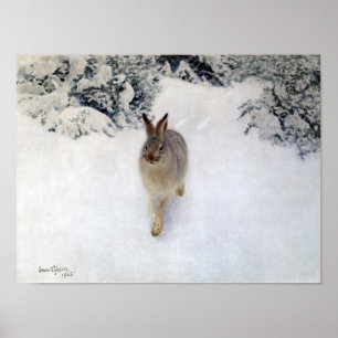 Winter Hare (kanin), Bruno Liljefors Poster