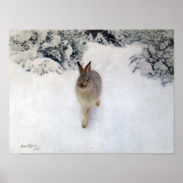 Winter Hare (kanin), Bruno Liljefors Poster (Framsidan)