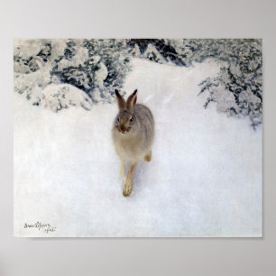 Winter Hare (kanin), Bruno Liljefors Poster