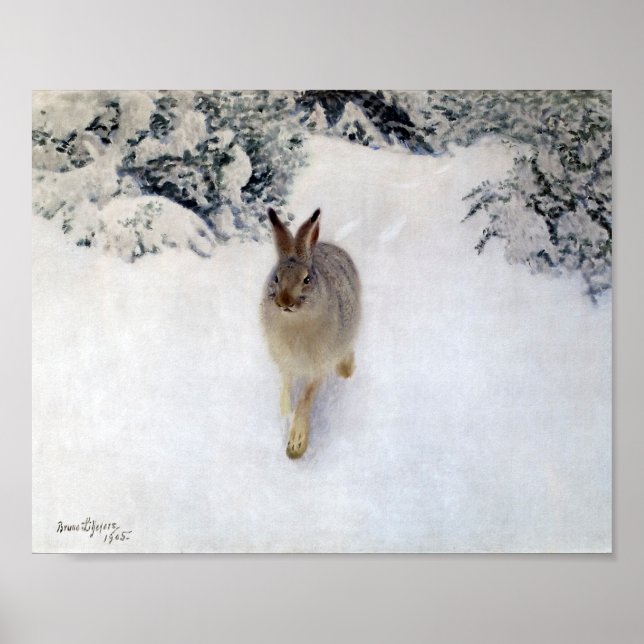 Winter Hare (kanin), Bruno Liljefors Poster (Framsidan)